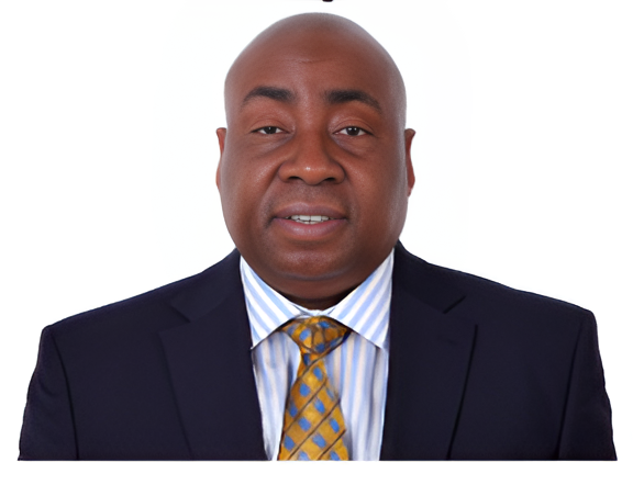 dr festus olatunde ogunmola is the vice chair